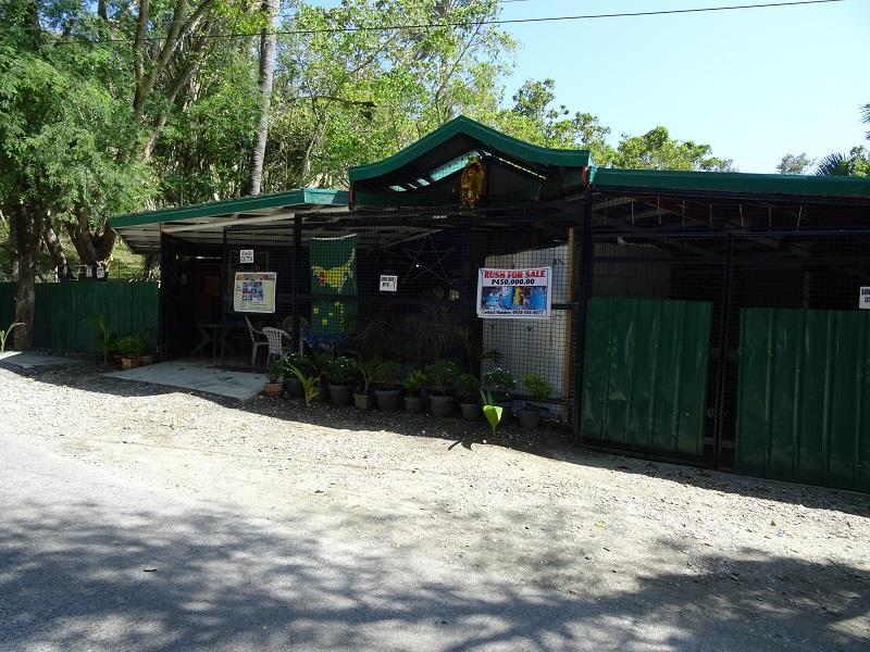 Happy Buddha Inn بويرتو غاليرا المظهر الخارجي الصورة